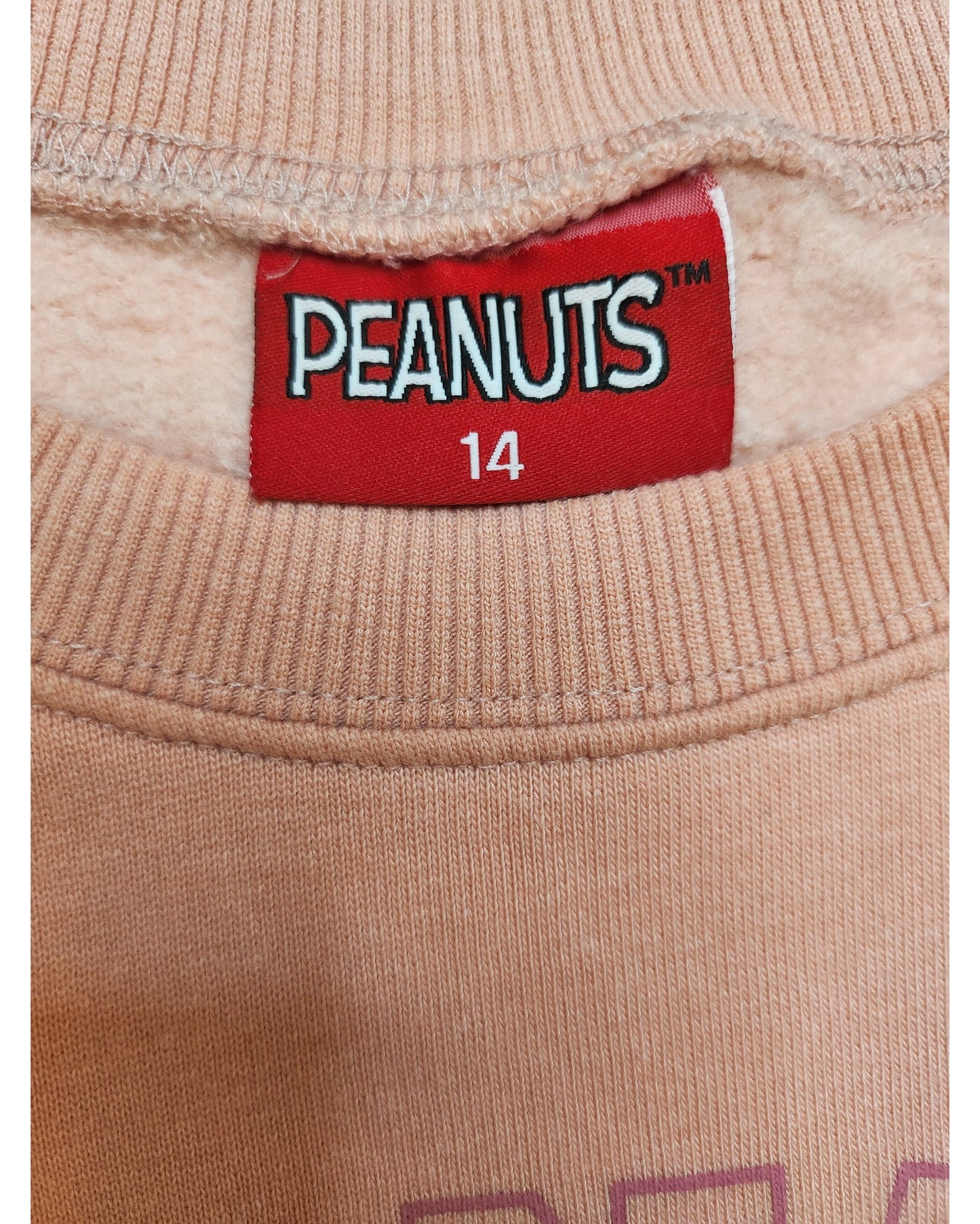 Upcycled Breastfeeding Peanuts Sweatshirt UK14