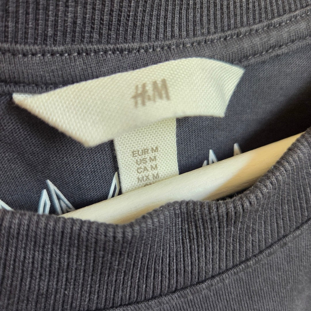 Close-up of an H&M Upcycled Breastfeeding & Pumping Def Leppard Leopard Print Band t-shirt (M, 100525), showing the collar and clothing tags with size info for Europe, US, Canada, and Mexico. A wooden hanger is partially visible.